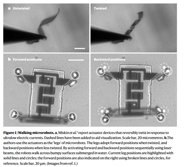 《自然》刊发微型机器人新突破：细如发丝，兼容硅电子器件插图(1)